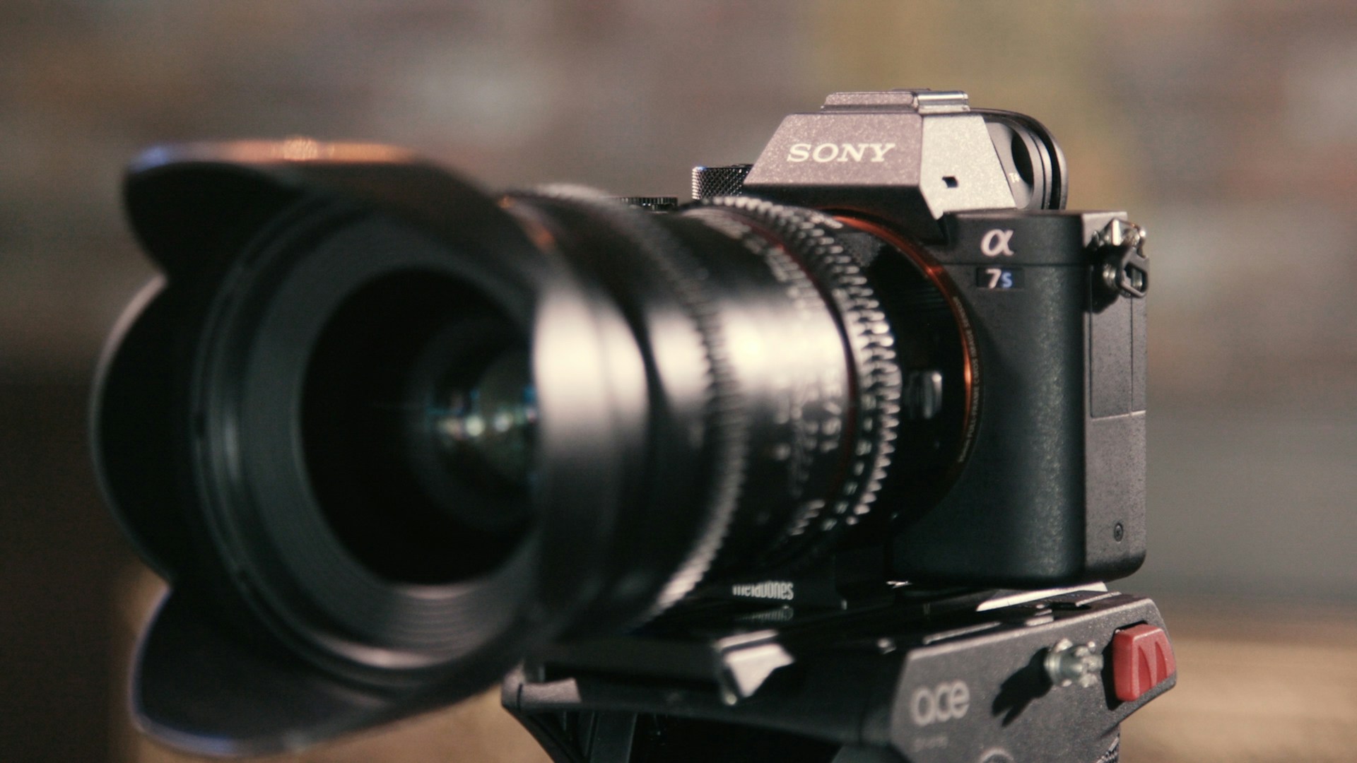 A Beginner’s Guide to Choosing Your First Digital Camera
